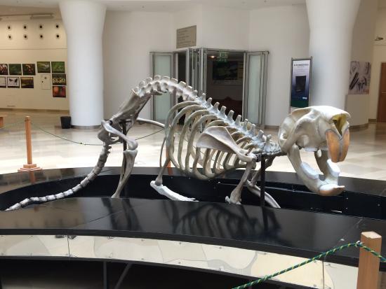 Muzium Sejarah Semula Jadi Hungary